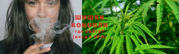 скорость Бородино