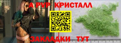 ECSTASY Аргун