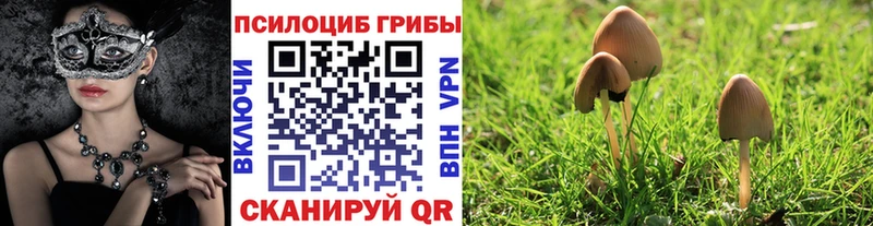купить  цена  Верхняя Салда  блэк спрут tor  Галлюциногенные грибы прущие грибы 