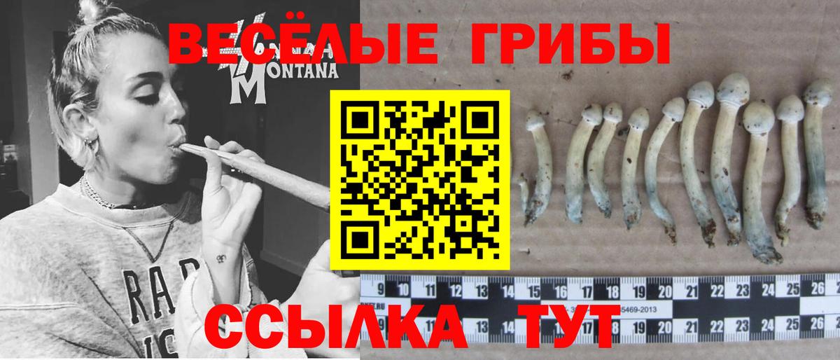 Галлюциногенные грибы Psilocybine cubensis Верхняя Салда