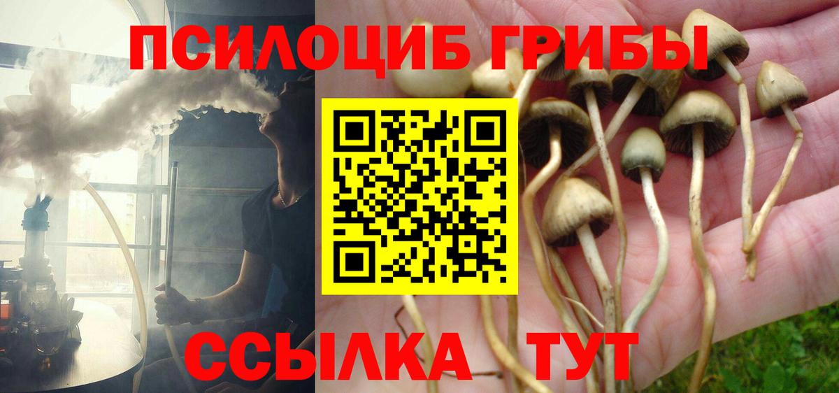 Псилоцибиновые грибы мухоморы  Вход с VPN  Верхняя Салда 